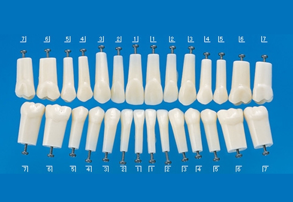 株式会社ニッシンの取扱い製品 | 主な取り扱いメーカー | 歯科材料